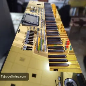 روکش و گلس طلایی ارگ